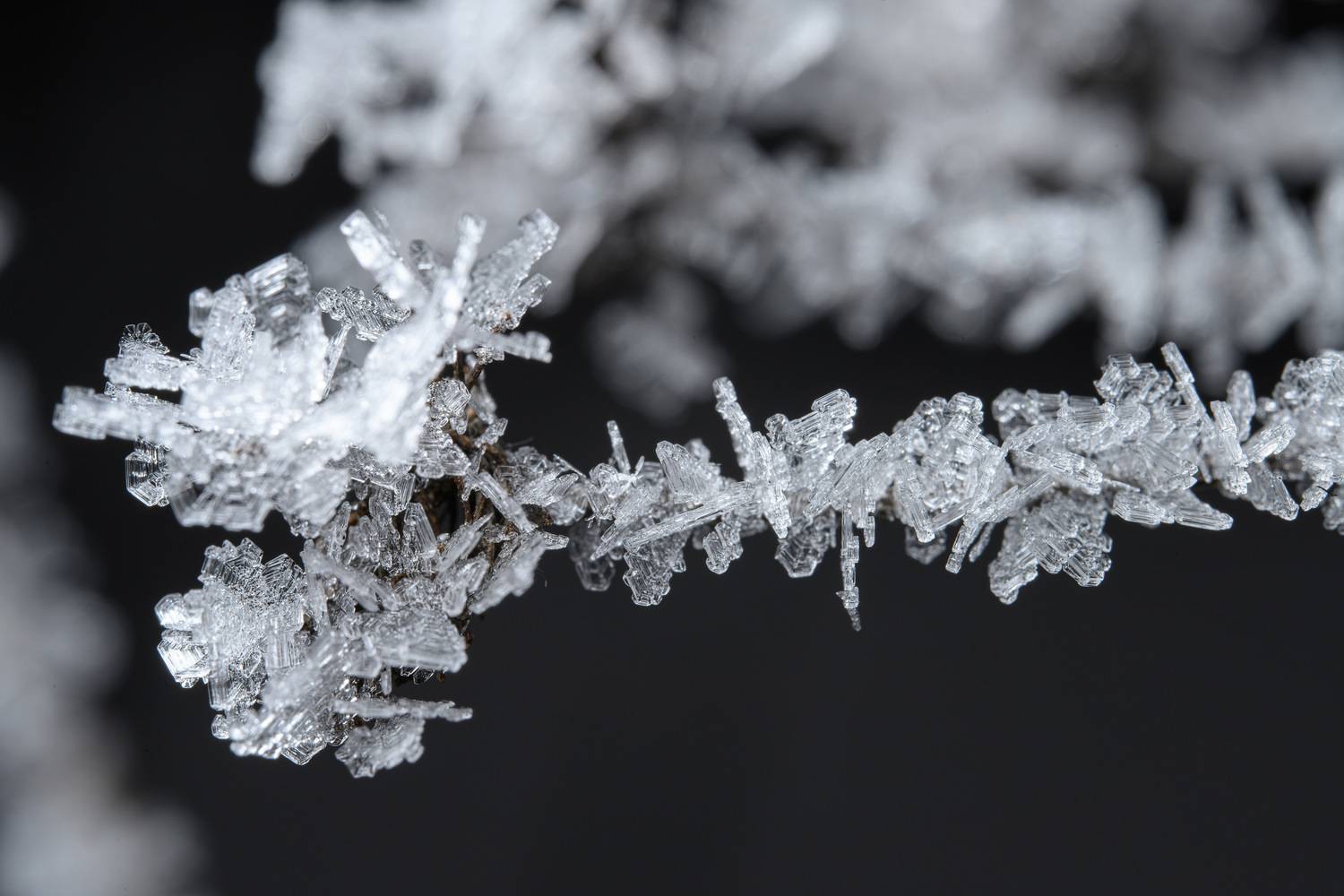 Фотография #13018135