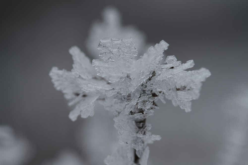 Photograph by Илья Леонов