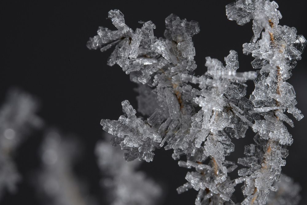 Photograph by Илья Леонов