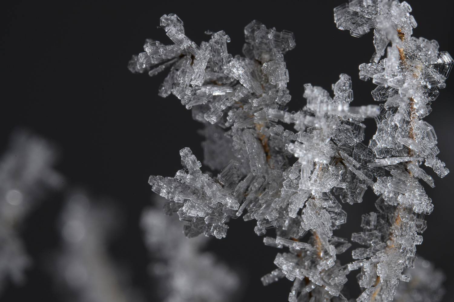 Фотография #13018137