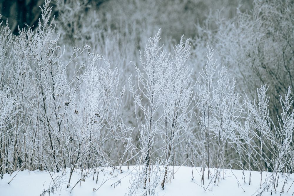 Photograph by Илья Леонов