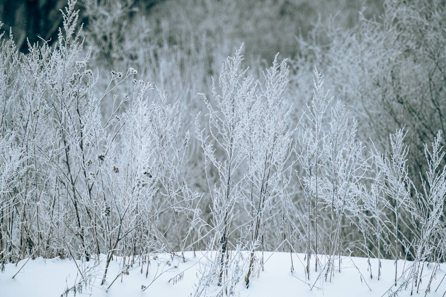 Фотография #13018138