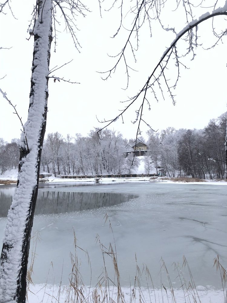 Photograph by Светлана Смук