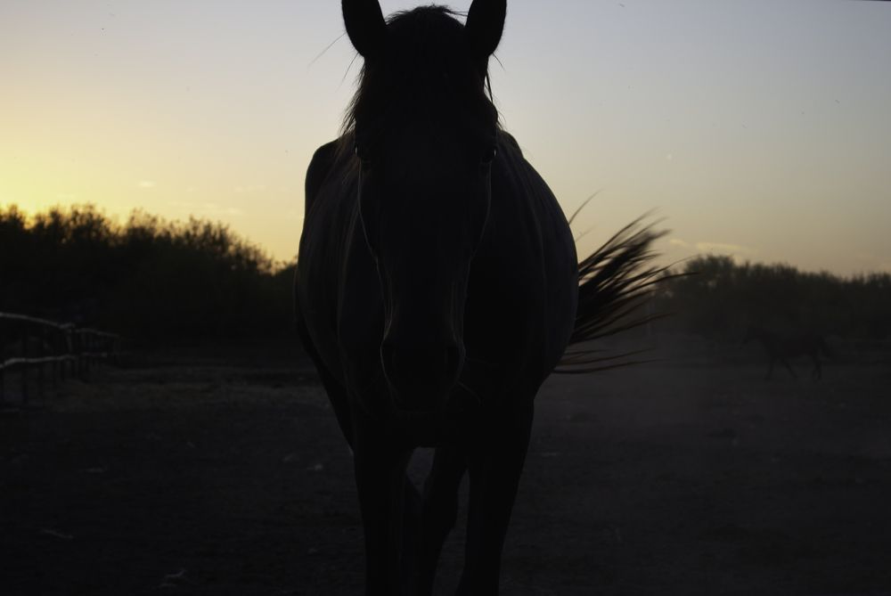 Photograph by Юлия Горшкова