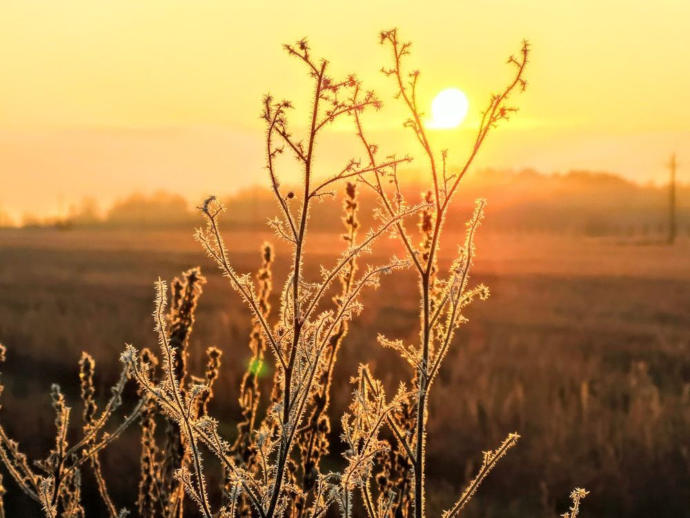 Photograph by Александр Айзенштадт