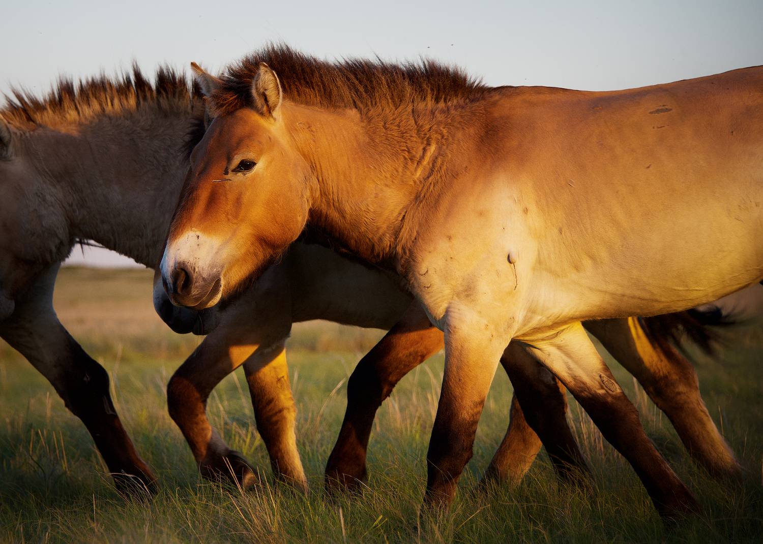 Фотография #13018194