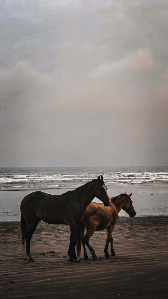 Photograph by Mohit Solanki