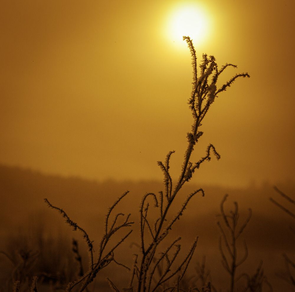 Photograph by Николай Захаров