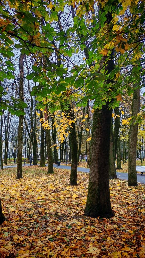 Photograph by Татьяна