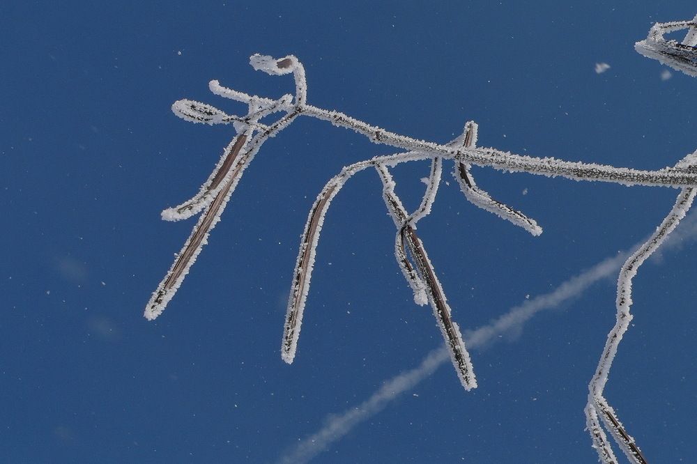 Фотография автора Александр Челмодеев