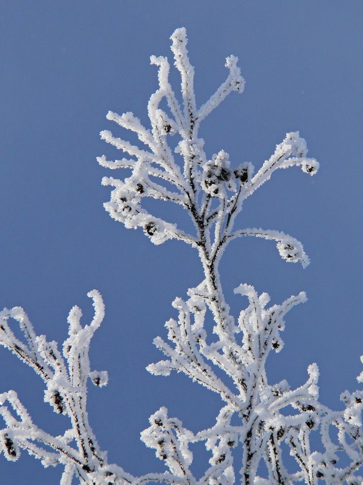 Фотография автора Александр Челмодеев