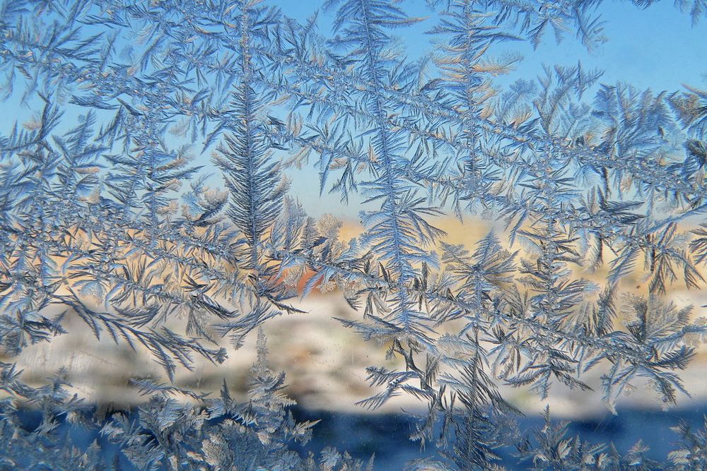 Фотография автора Александр Челмодеев