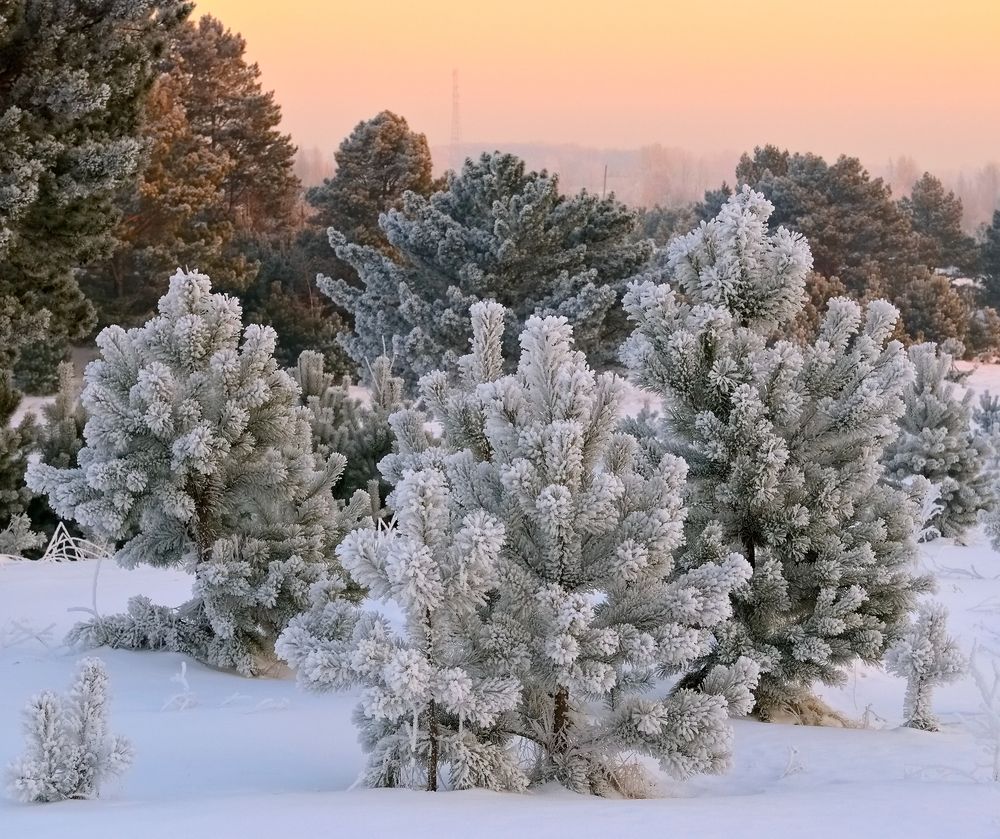 Photograph by Владимир Мигонькин