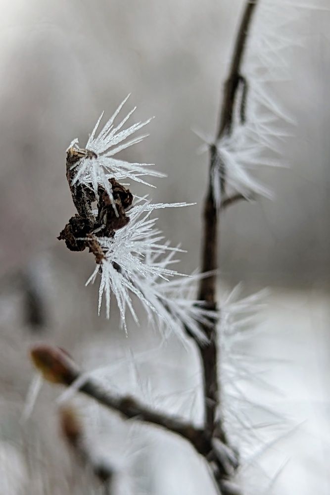 Photograph by Сергей Старых