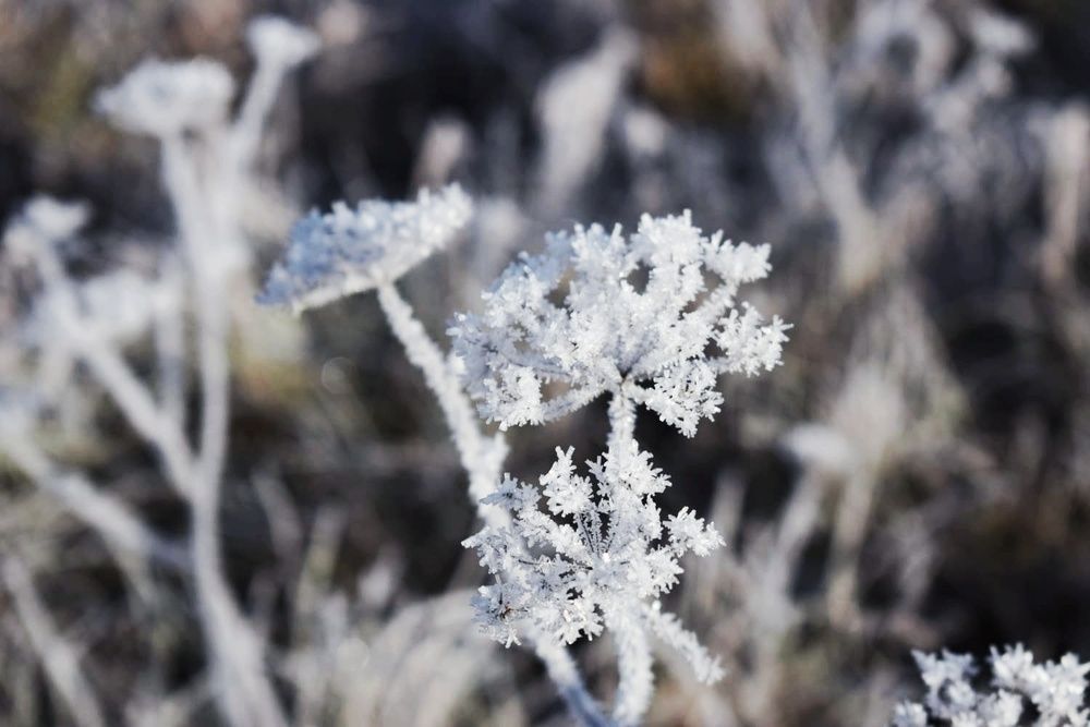 Photograph by Evelīna Radelicka