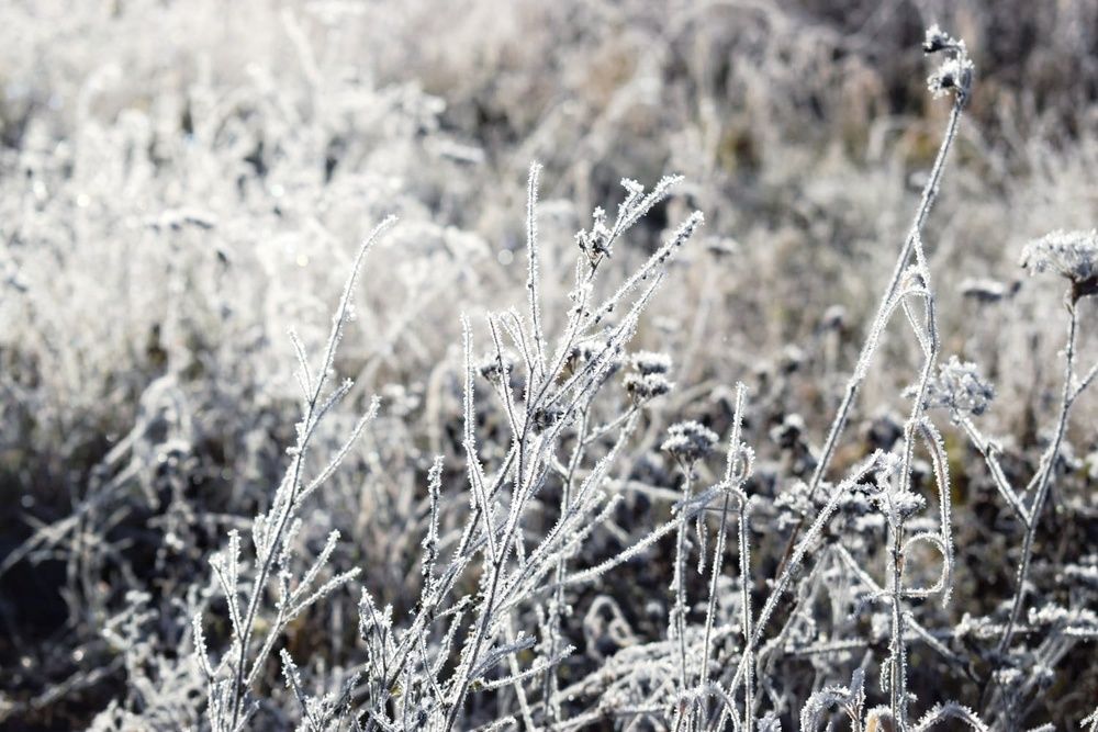 Photograph by Evelīna Radelicka
