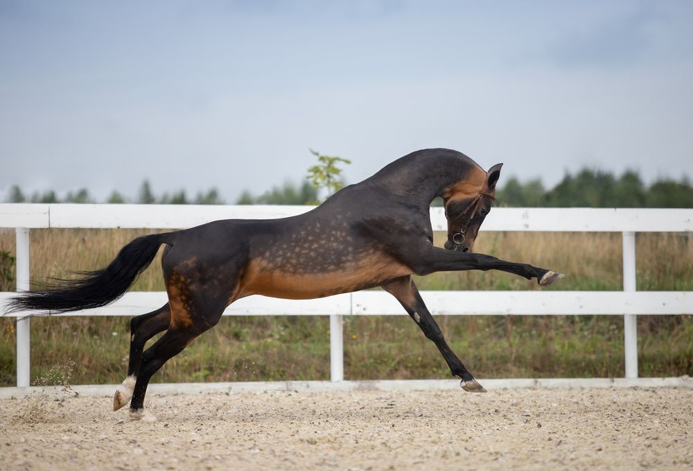 Фотография автора Татьяна Немова