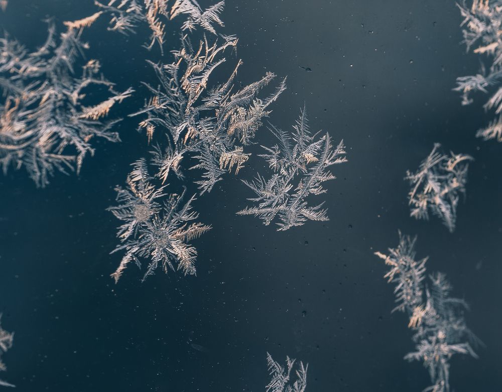 Photograph by Максим Кольцов