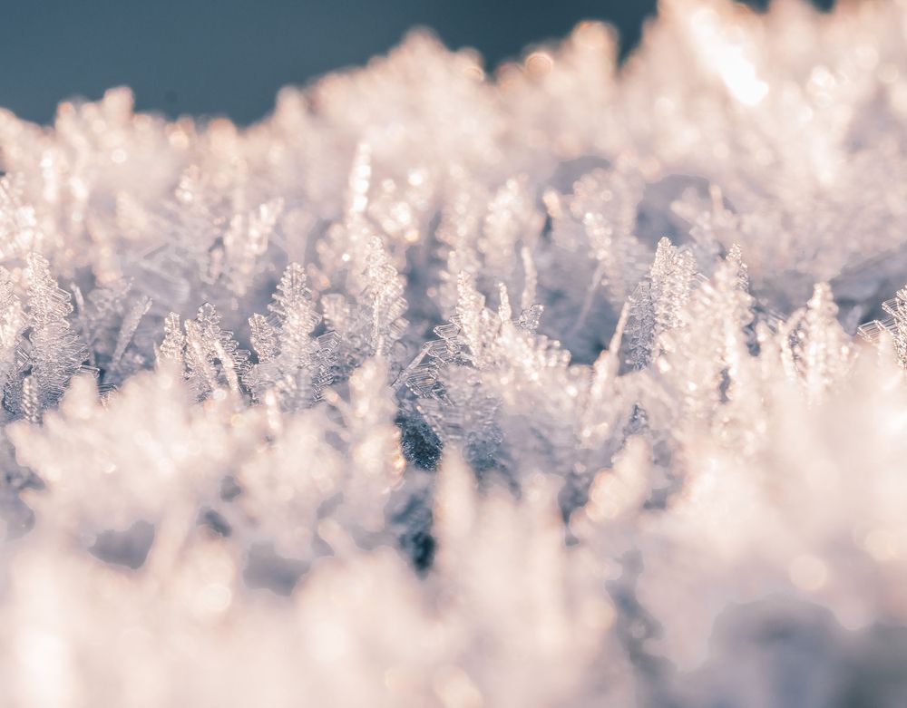 Photograph by Максим Кольцов