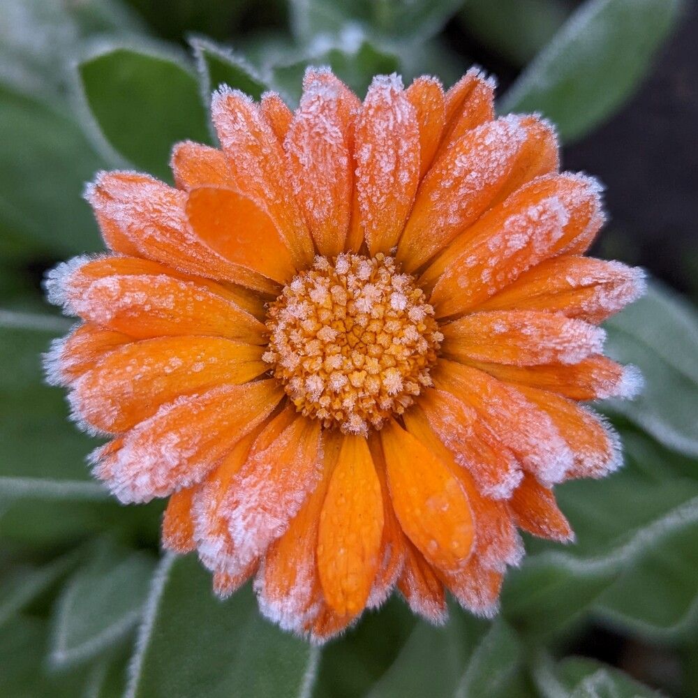 Photograph by Сергей Старых