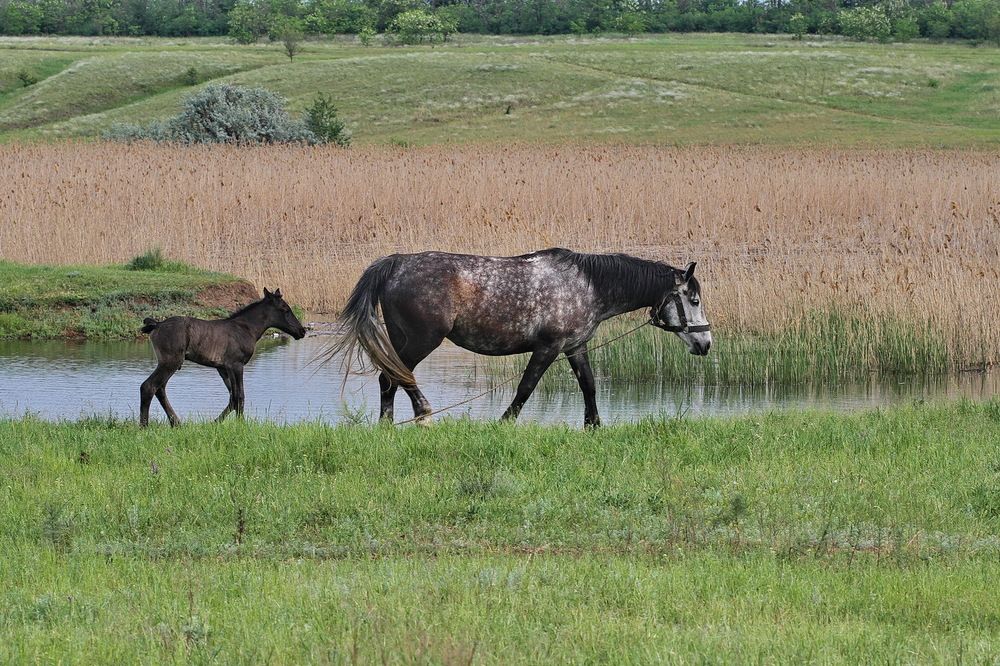 Фотография автора Александр Челмодеев
