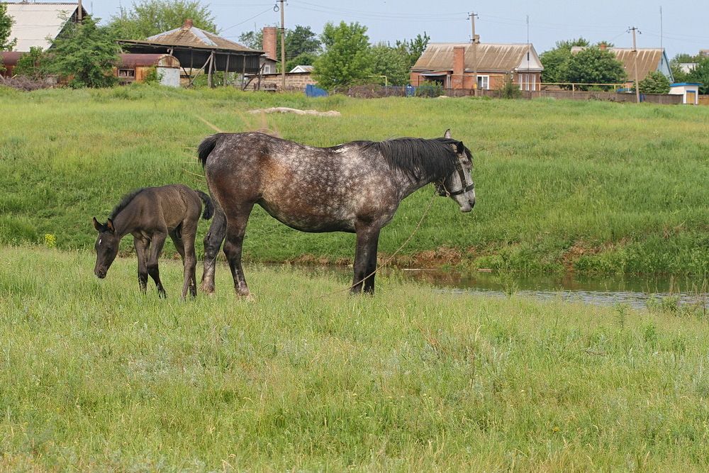 Фотография автора Александр Челмодеев
