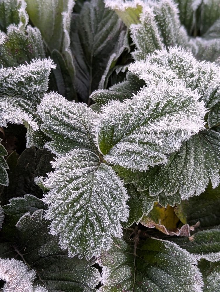 Photograph by Сергей Старых