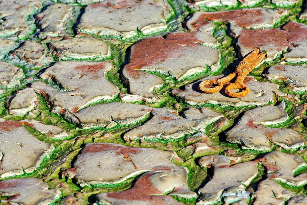 Фотография автора Александр Челмодеев