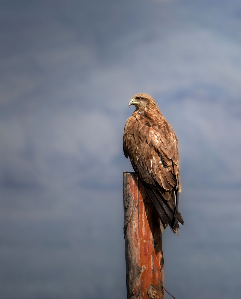 Photograph by Andrey