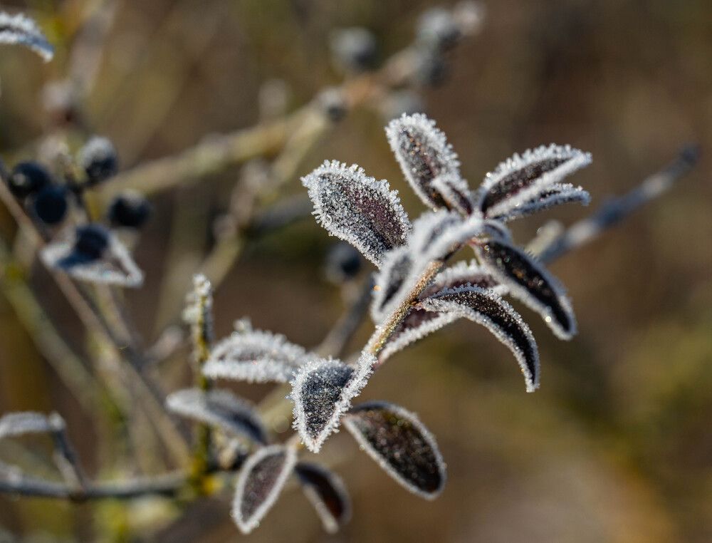 Photograph by Igor Shulkin
