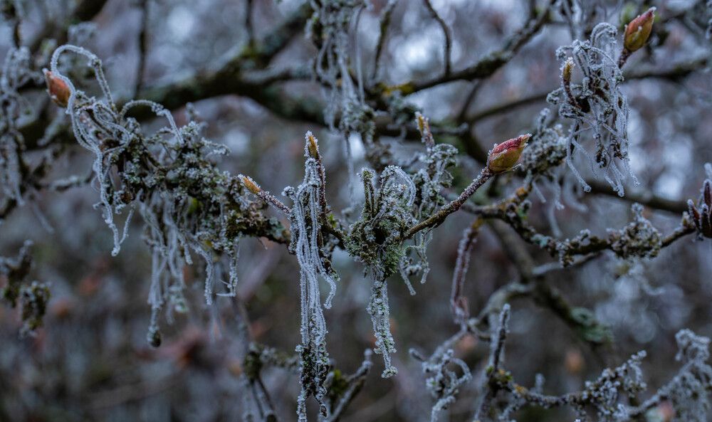 Photograph by Igor Shulkin