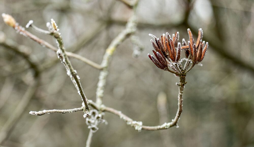 Photograph by Igor Shulkin