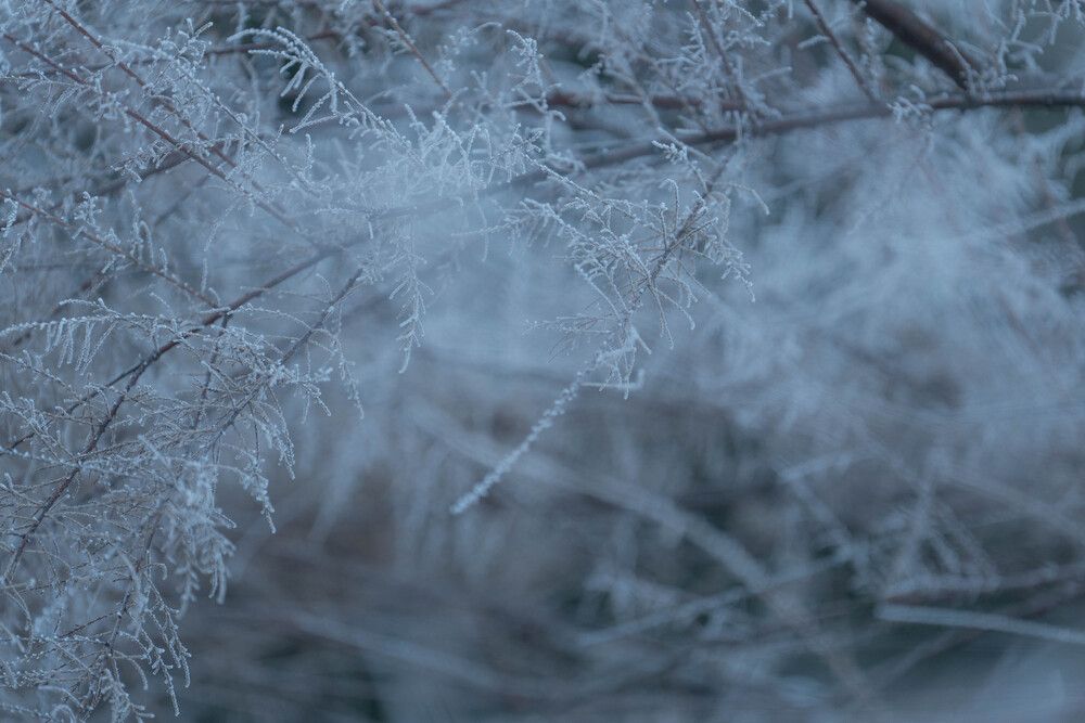 Photograph by Igor Shulkin