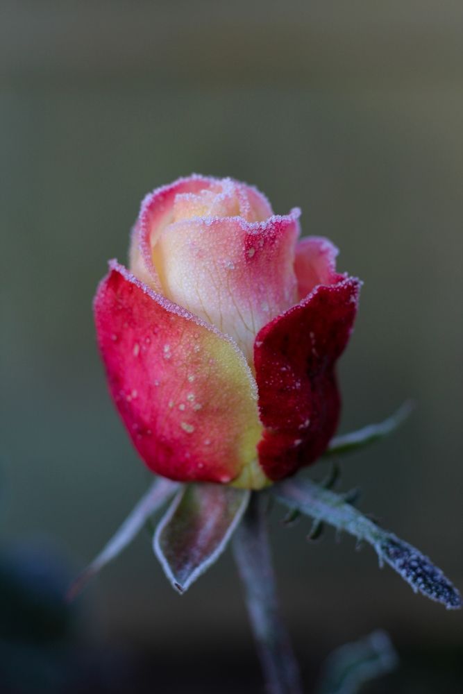 Photograph by Анна Зайченко