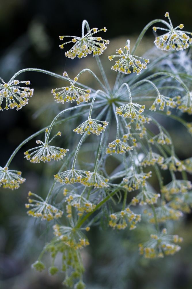 Photograph by Анна Зайченко