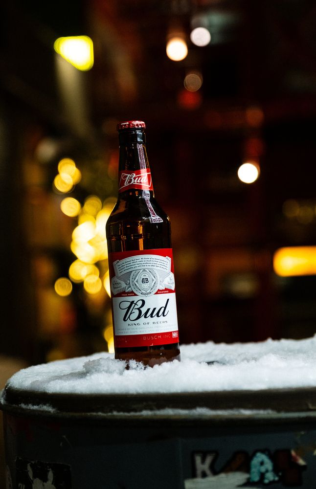 Photograph by Alexander Nosov