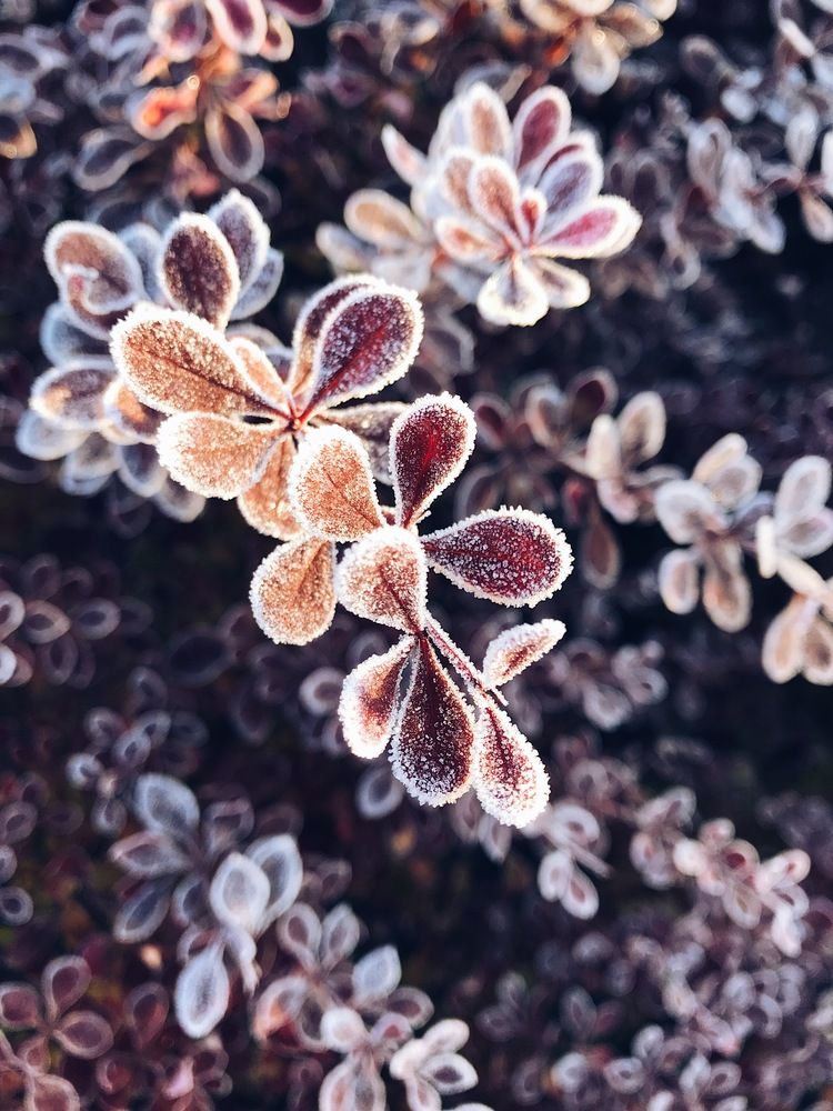 Фотография автора Мария Жукова