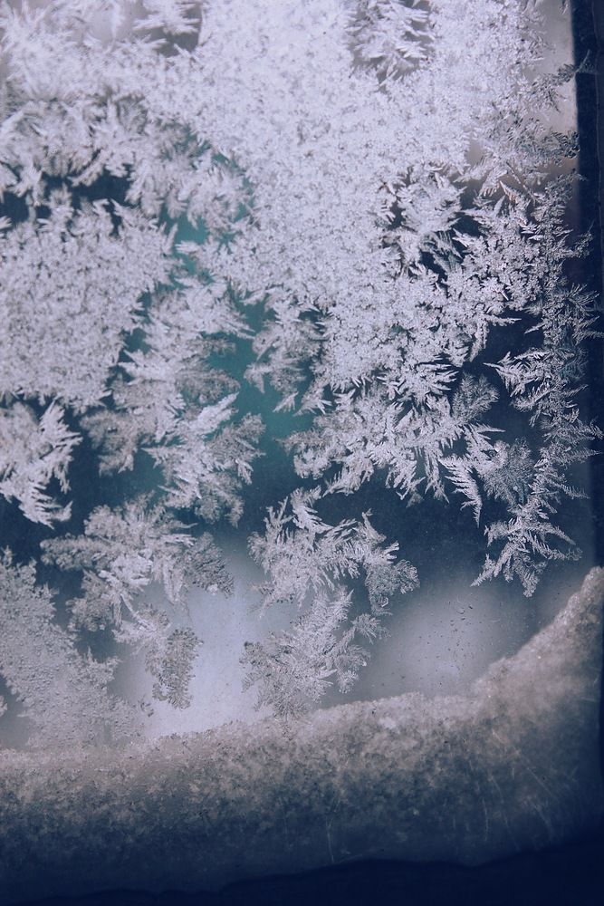 Фотография автора Мария Жукова