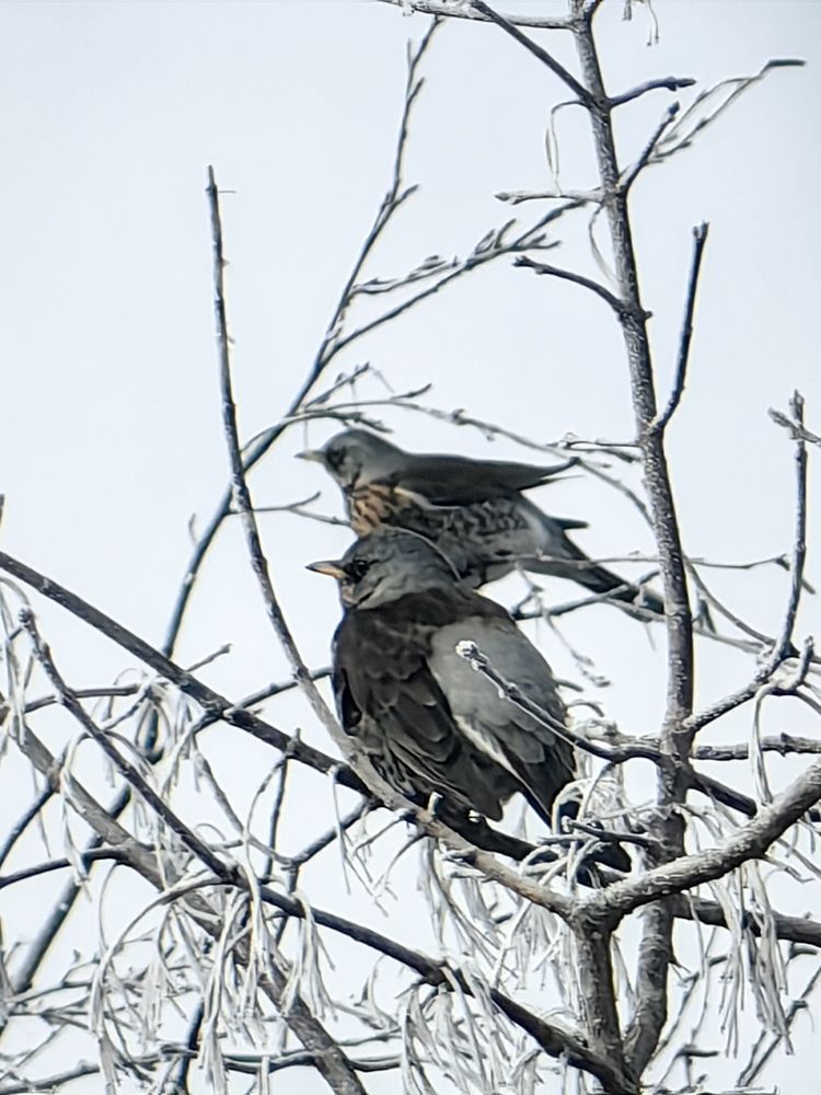 Photograph by Юлия-Массаж Зарайск