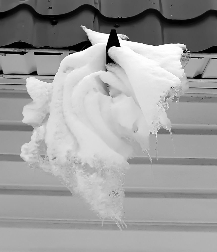 Photograph by Михаил Свиденцов