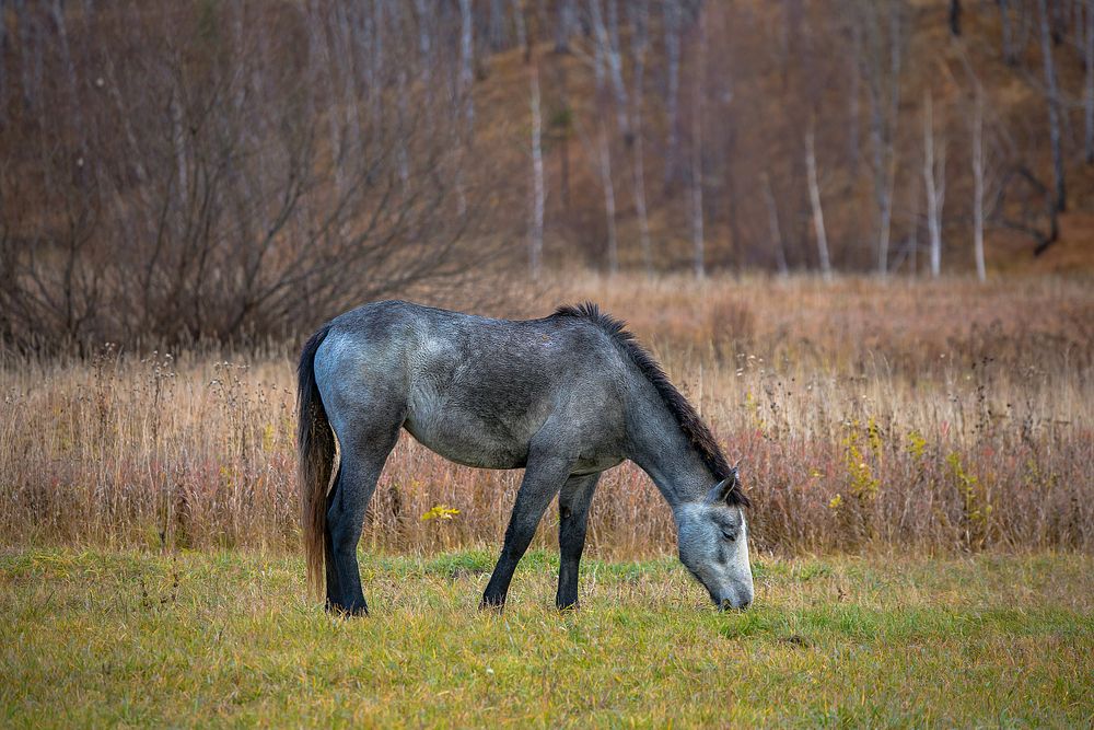 Photograph by Лапин Сергей