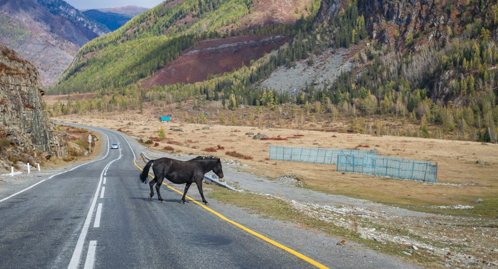 Photograph by Pavel Gukov