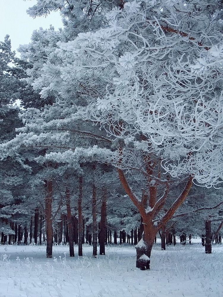 Photograph by Михаил Свиденцов