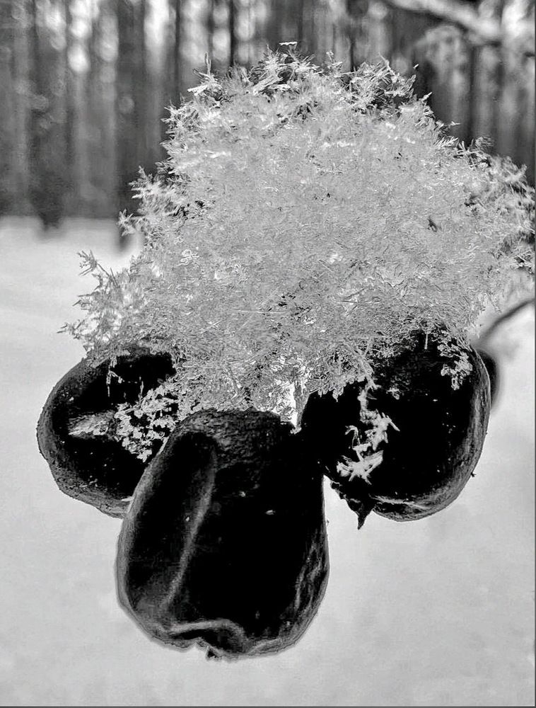 Photograph by Михаил Свиденцов