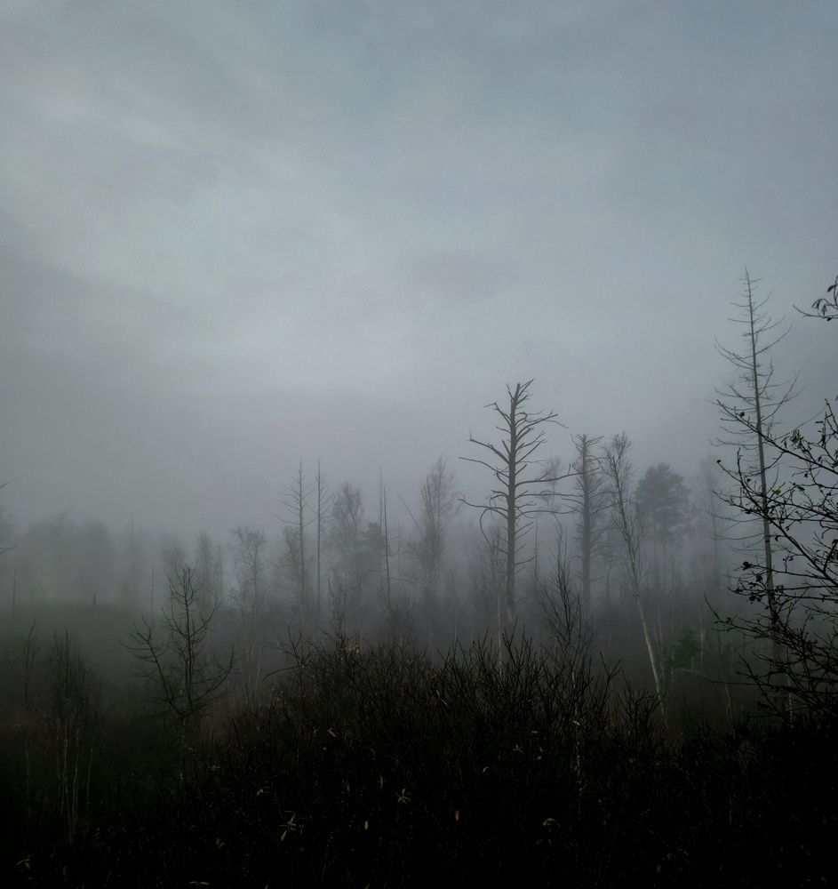 Photograph by Сергей Петров