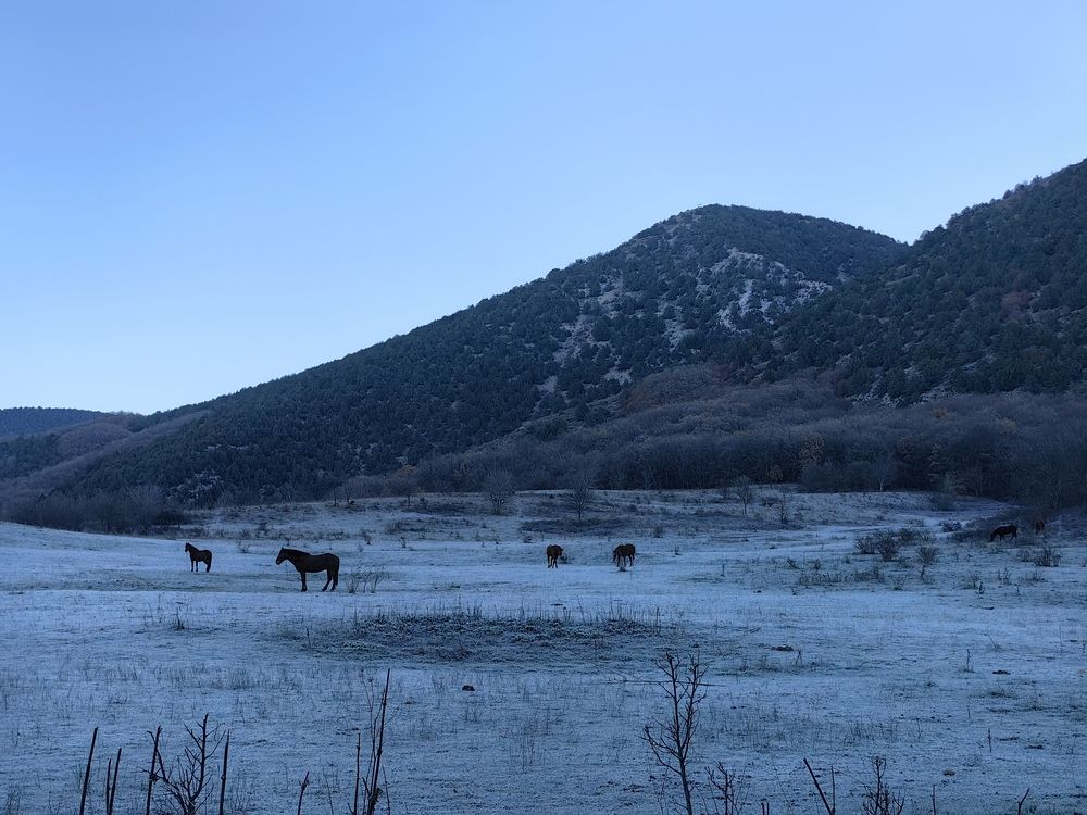 Photograph by Юлия-Массаж Зарайск