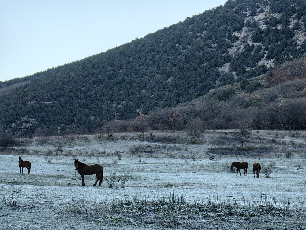 Photograph by Юлия-Массаж Зарайск