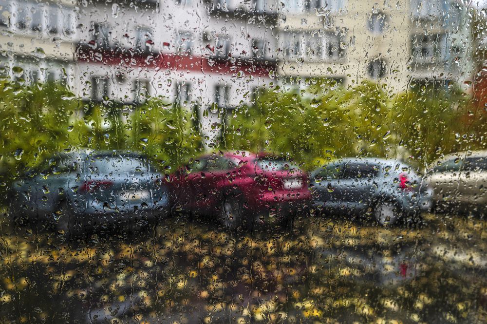 Photograph by Александр Журавлев