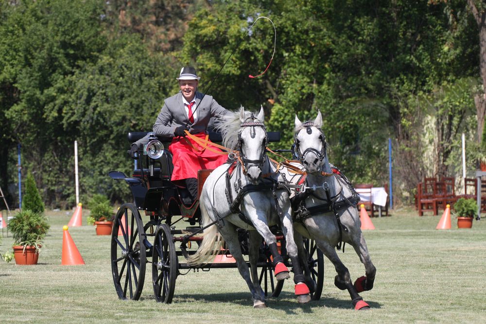 Photograph by Pancic Ivan