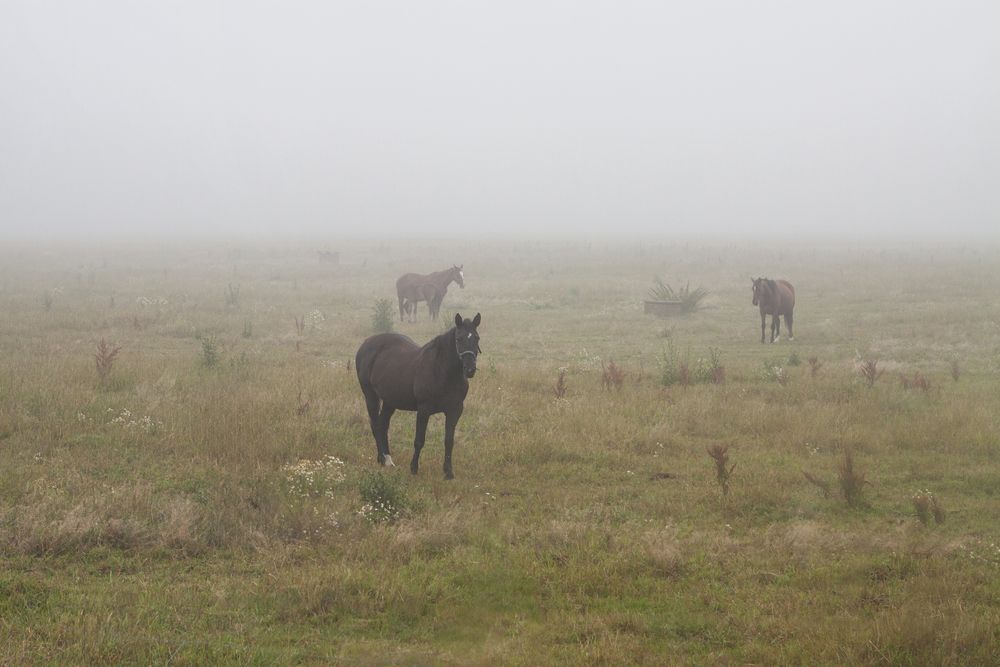 Photograph by Ivars Salmanis